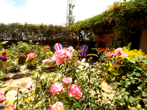 Garten in Adeje