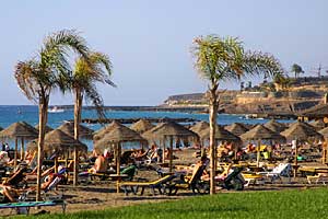 Strand von Arona mit Palmen