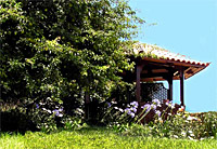 Finca auf Teneriffa - Urlaub in der Natur