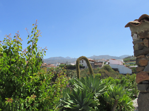 Blick in die Natur und in die Berge bei La Mantanza auf Teneriffa