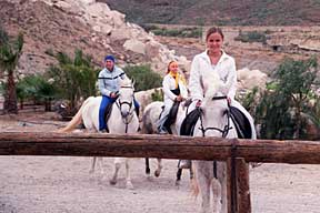 Reiten und Reiturlaub auf Teneriffa... Blick auf eine Gruppe Reiter mit weißen Schimmeln