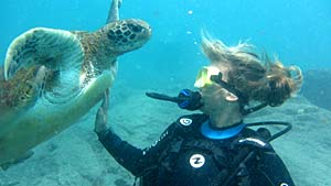 Tauchen auf Teneriffa... Blick auf eine Taucherin die einer Schildkröte begegnet