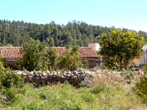 Blick in die Natur von Vilaflor