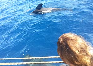 Whale Watching - Los Gigantes - Blick auf ein Mädchen im Boot und einen Delfin im Wasser