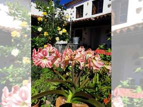 Ambiente