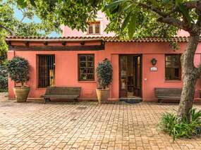 Tacoronte/ Finca 3