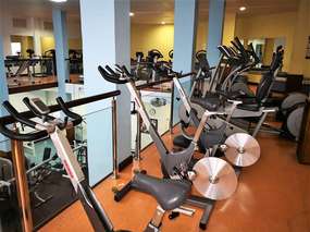 Wellness