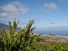 Aussicht