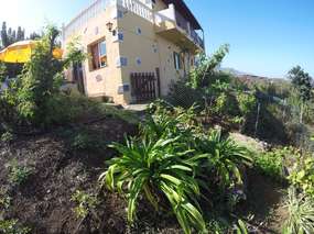Blick aufs Haus
