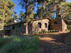 Ferienhaus inmitten von Pinien