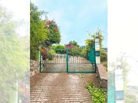Blick aufs Haus