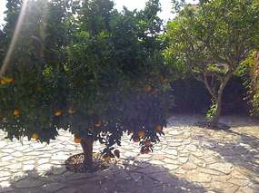 Garten