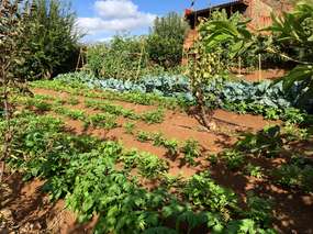 Garten