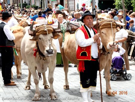 Teneriffa im April | Romería de San Marcos in Tegueste