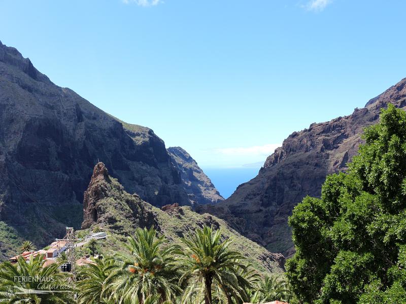 Masca - Ausblick