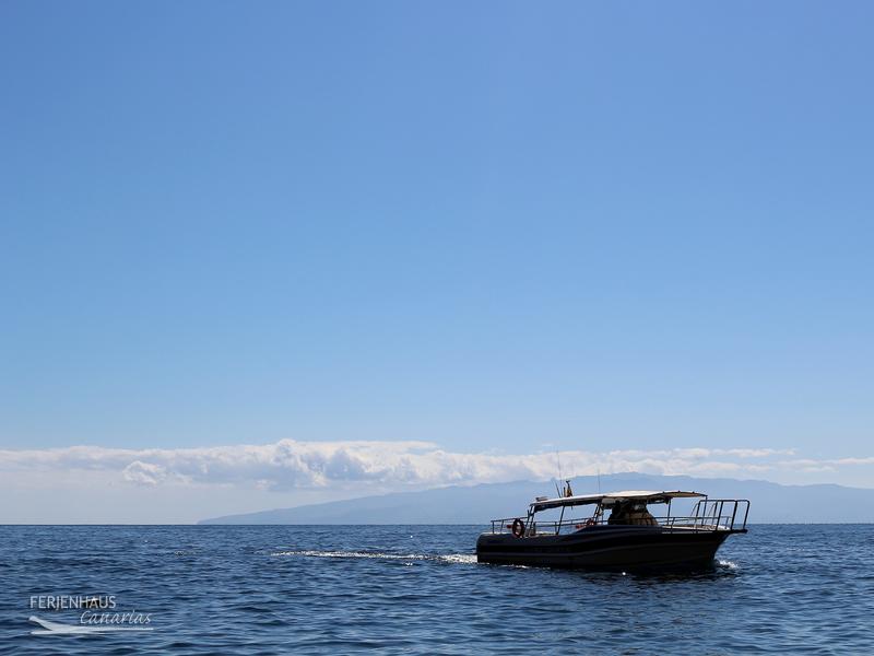 Bootsfahrt zu den Steilfelsen