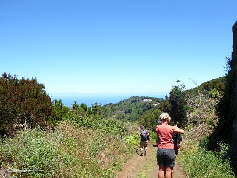 Wanderer im Anaga-Mercedeswald Wanderer im Anaga-Mercedeswald