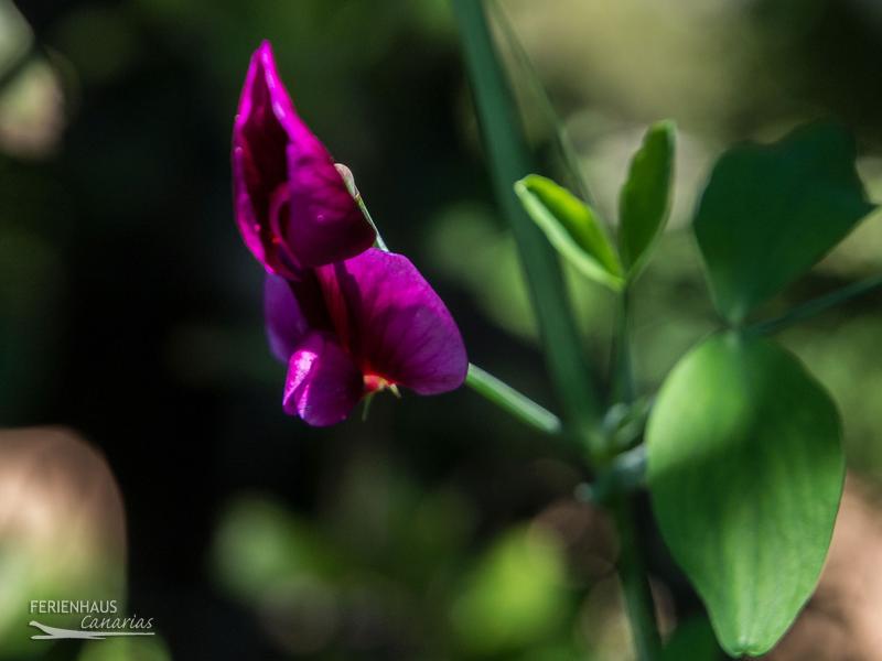 Naturlandschaften beim Wandern Naturlandschaften beim Wandern
