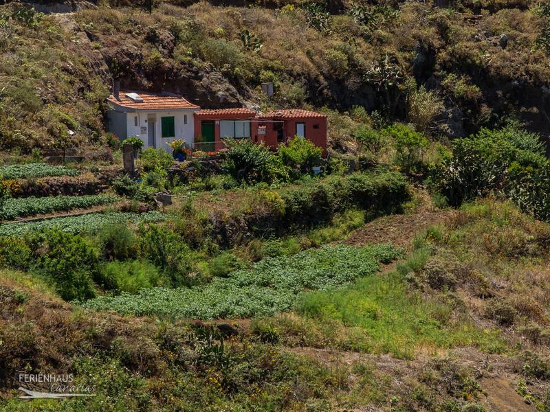 Altes Haus im Anaga Gebirge Altes Haus im Anaga Gebirge