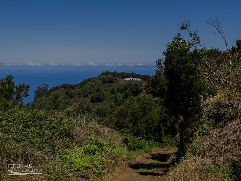Blick auf die Natur im Mercedeswald Blick auf die Natur im Mercedeswald