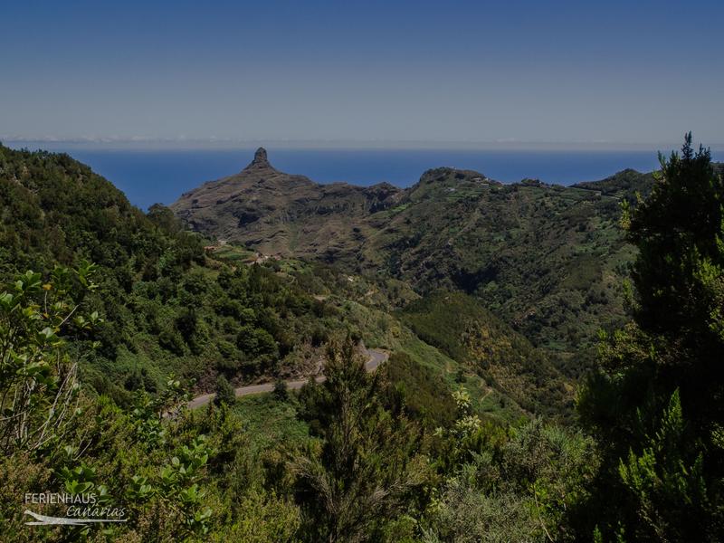 Wandern im Anaga-Mercedeswald - Küstenblick Wandern im Anaga-Mercedeswald - Küstenblick