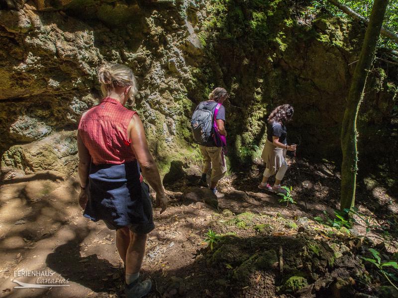 Wanderer im Mercedeswald Wanderer im Mercedeswald