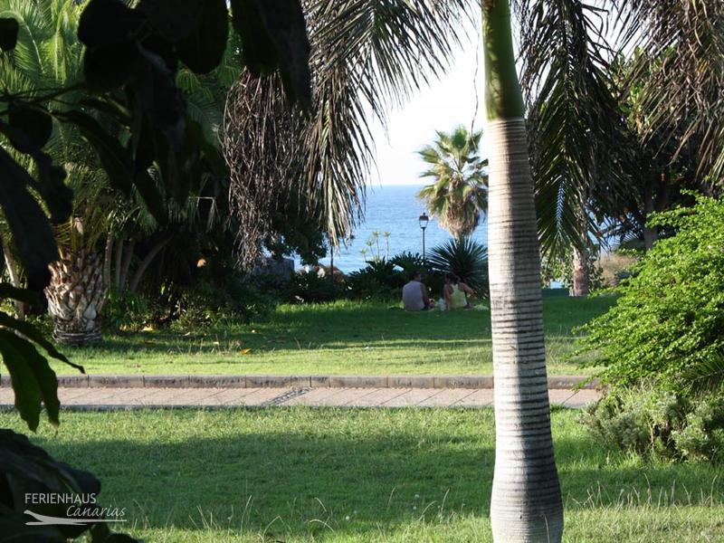 Relaxen im Gras am Playa Jardin Relaxen im Gras am Playa Jardin