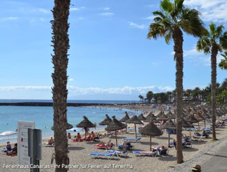 Teneriffa | Winter auf der Insel des ewigen Frühlings
