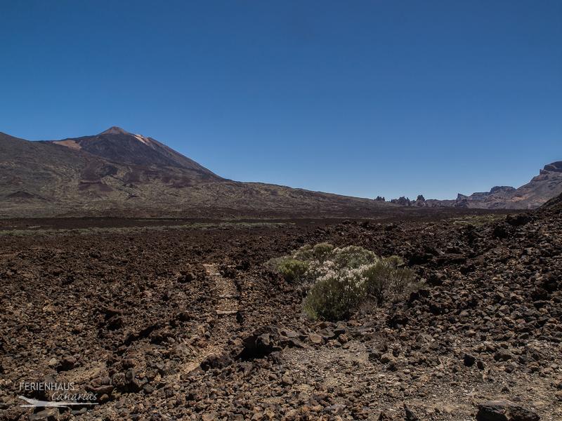 Parque Nacional del Teide Parque Nacional del Teide
