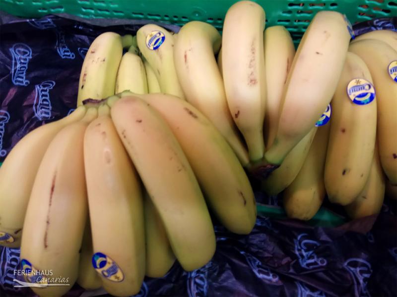 Teneriffa | Bananenanbau & Plantagen