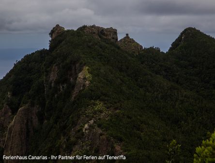 Sehenswert: Teneriffas einzigartige Naturdenkmäler