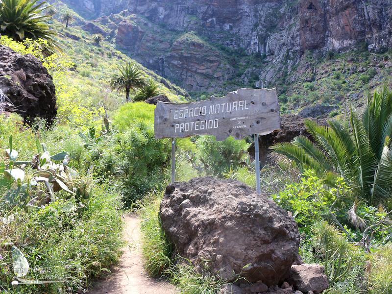 Masca - Wandertour durch die Mascaschlucht