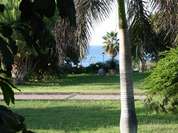 Grünzonen an der Playa Jardin Grünzonen an der Playa Jardin