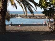 Palmen am Strand Playa Jardin Palmen am Strand Playa Jardin