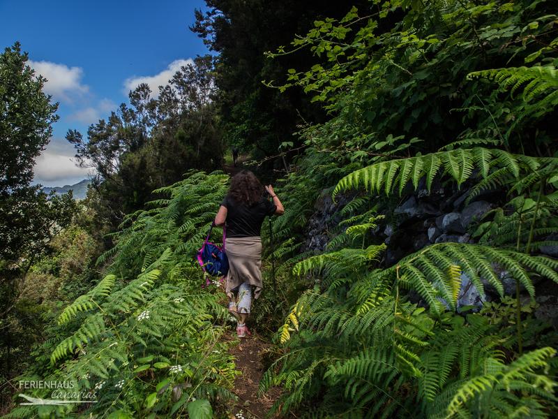 Wanderunge im Esperanzawald