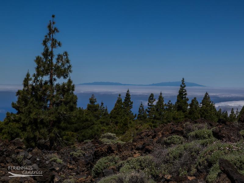 Die Caldera del Teide