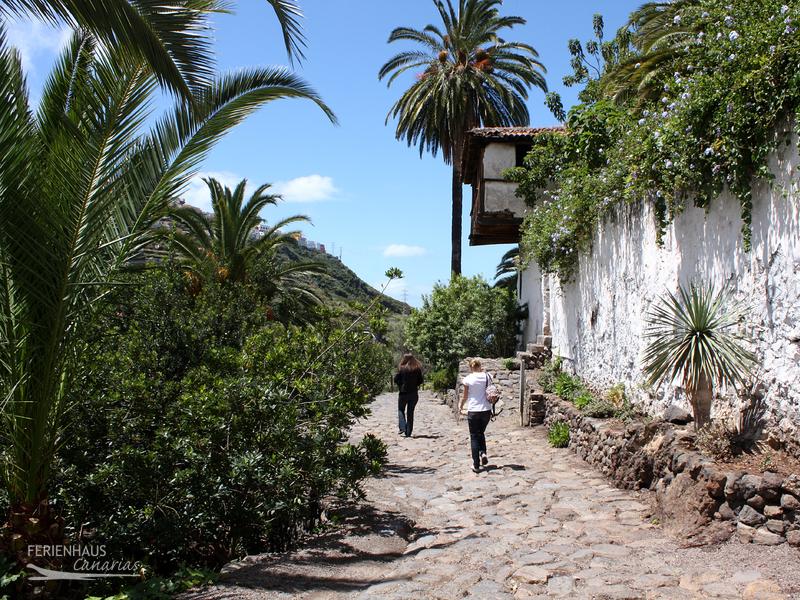 Parque del Drago in Icod de los Vinos