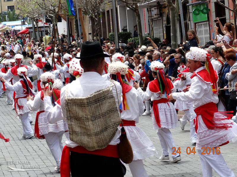 Romeria in Tegueste Romeria in Tegueste