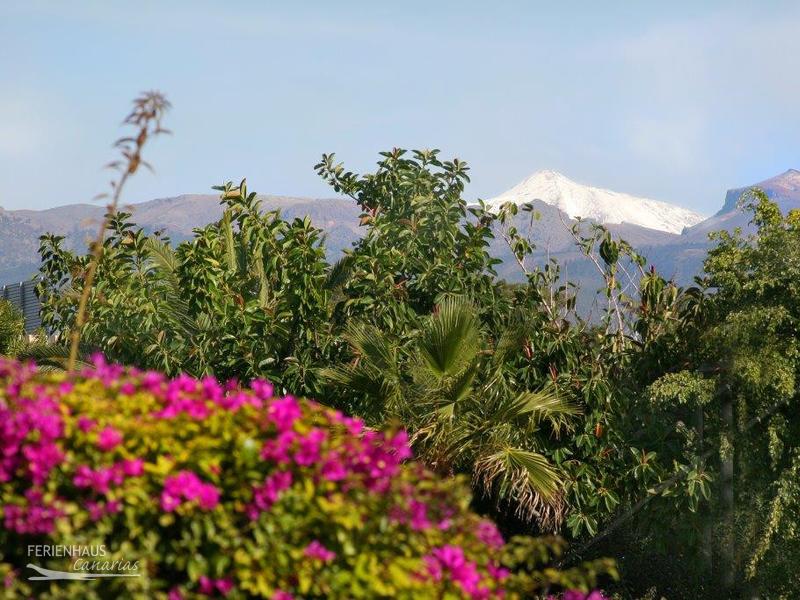 Teneriffa im Frühling