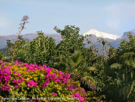 Teneriffa | Tolles Wetter an 365 Tagen im Jahr