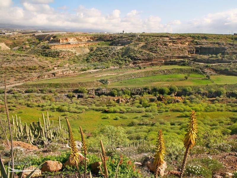 Naturlandschaft auf Teneriffa
