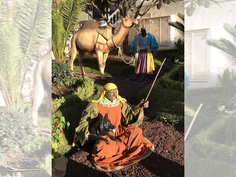 Krippen und Krippenspiel in La Orotava