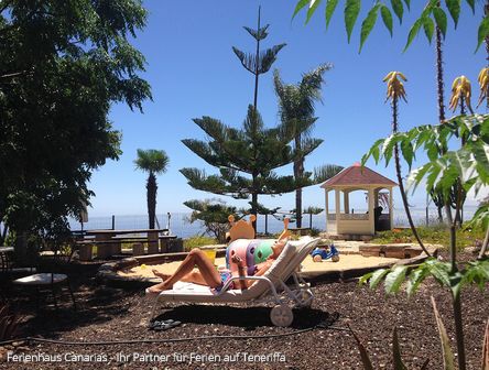 Teneriffa | Auswandern: der Traum vom sonnigen Süden