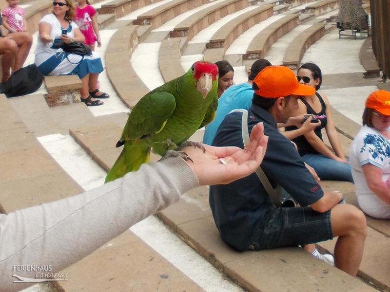 Papageien im Jungel Park + Aquilla Park