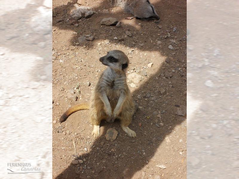 Jungel Park + Aquilla Park