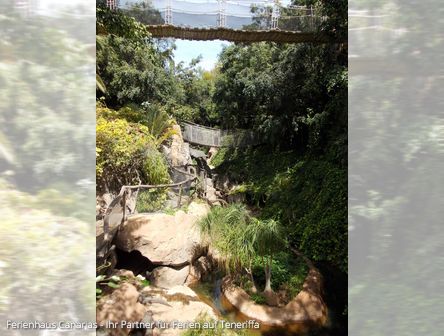 Parque Las Áquilas | Dschungelpark auf Teneriffa