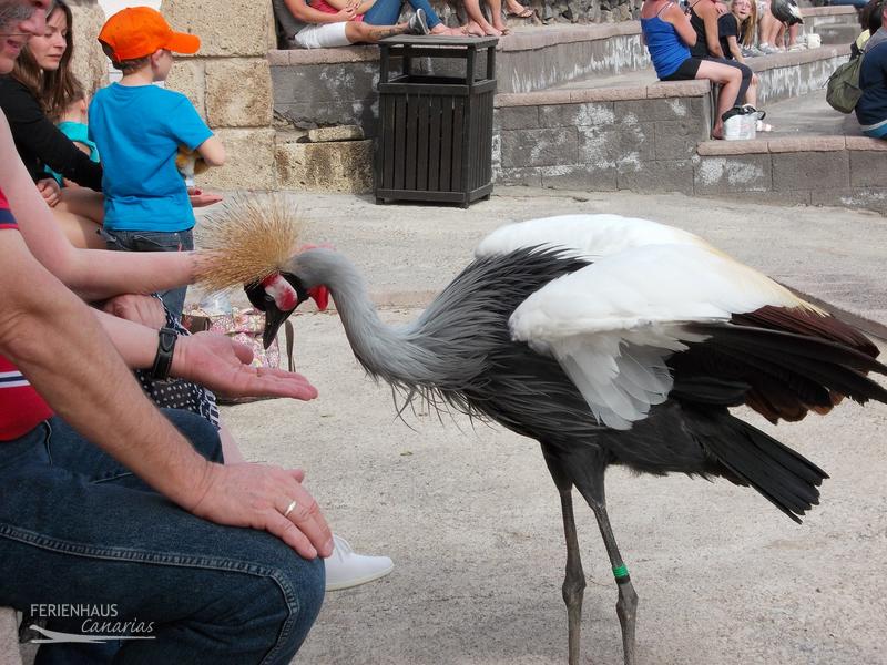 Jungel Park + Aquilla Park