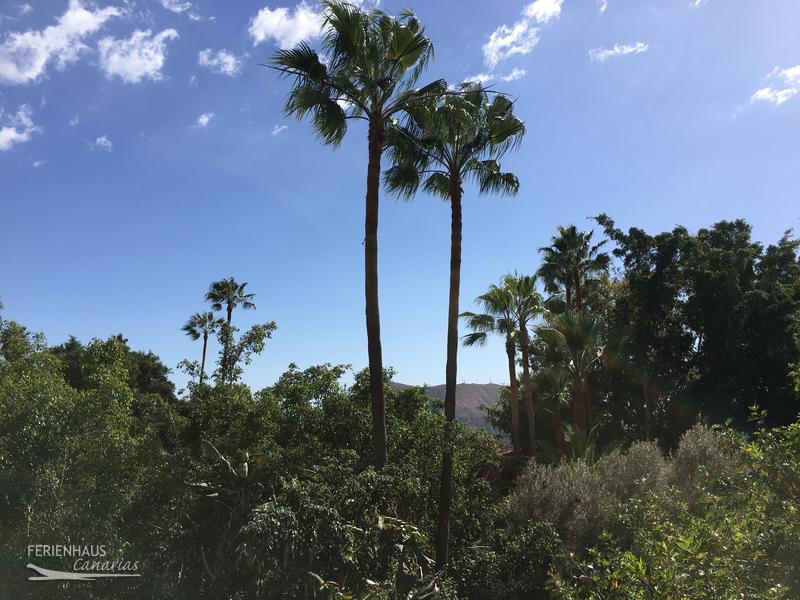 Jungel Park + Aquilla Park