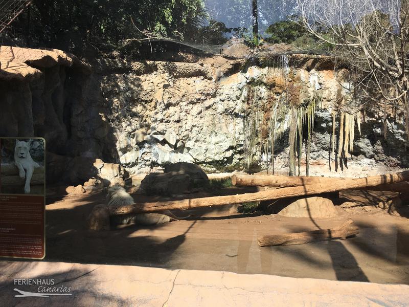 Gehege im Jungel Park + Aquilla Park