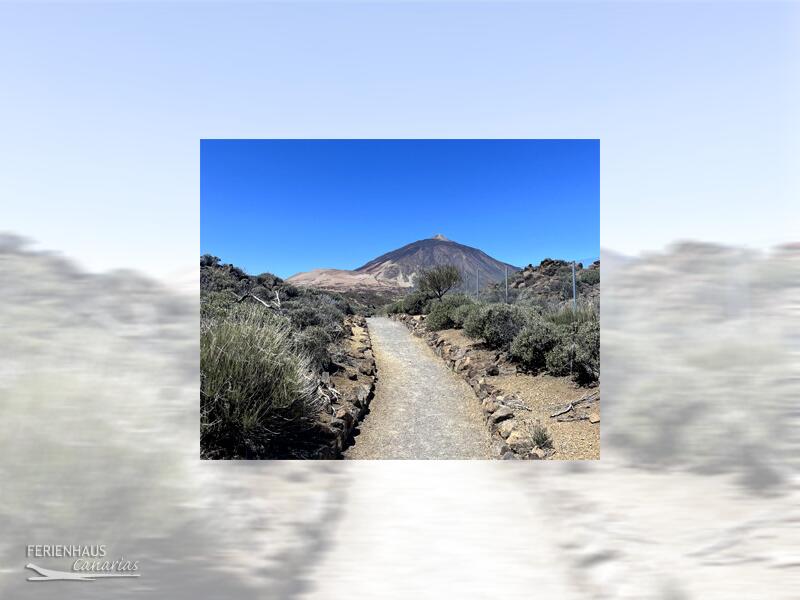 Wanderweg Landschaft Teide